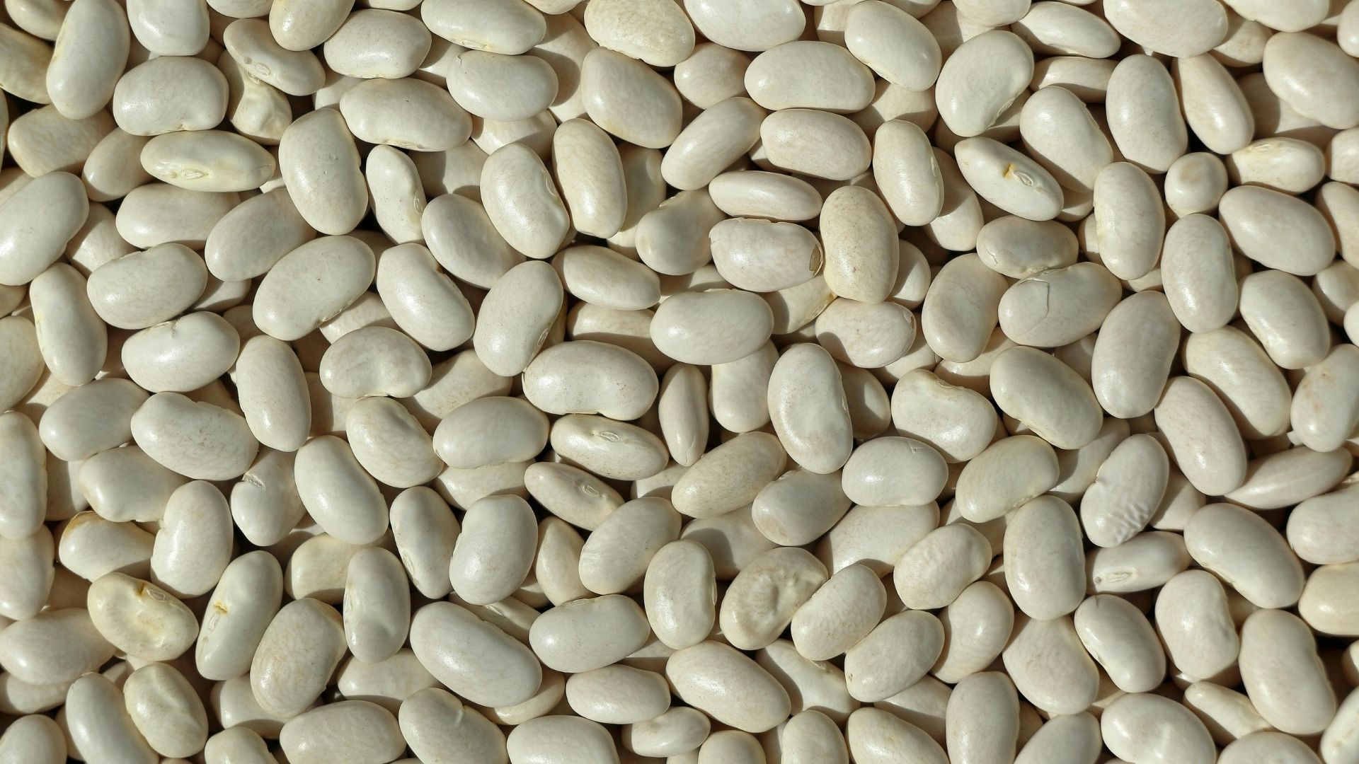 Kuru Fasulye
